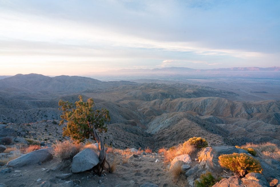 Joshua Tree National Park In Winter The Whole World Is A Playground