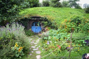 New Zealand North Island: Hobbiton Movie Set Tours | The Whole World Is ...