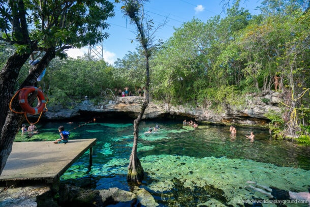 Cenote Azul: Ultimate Guide (2022) | The Whole World Is A Playground