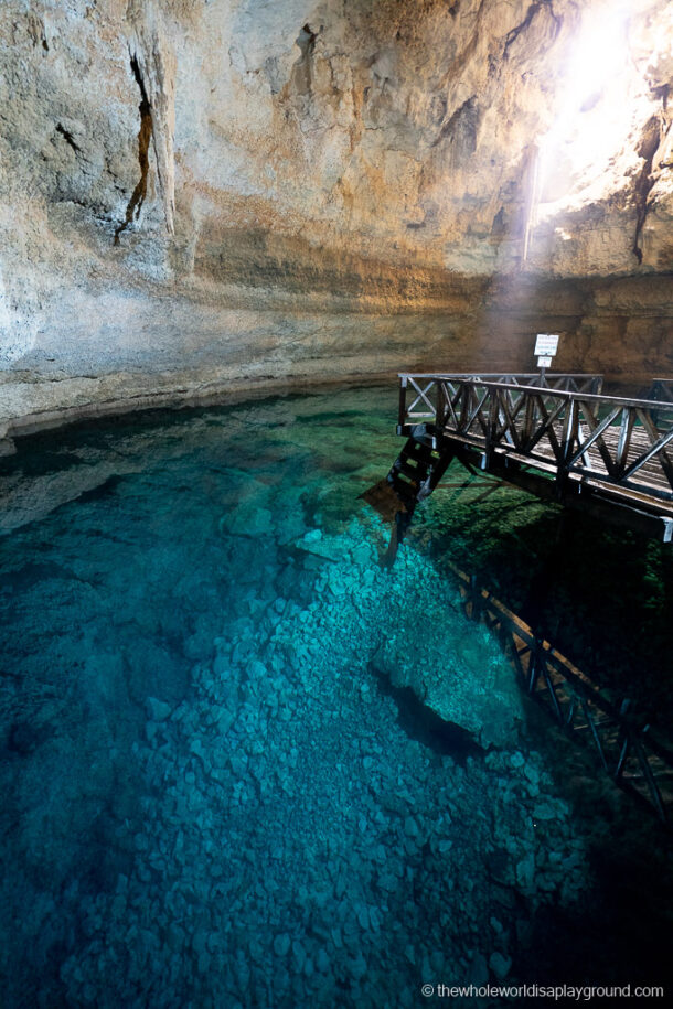 13 Best Cenotes near Playa Del Carmen (2020) | The Whole World Is A