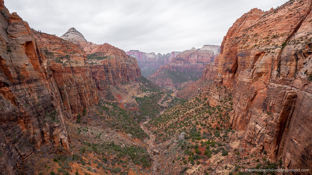 Canyon Overlook Trail Zion National Park The Whole World Is A Playground