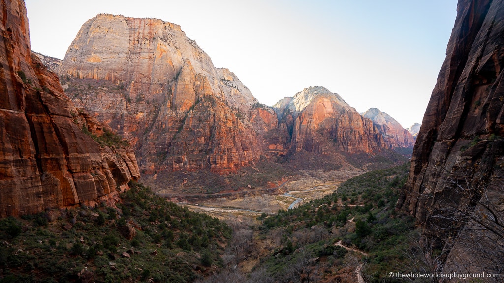 are dogs allowed in zion park