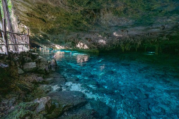 17 Best Cenotes Near Cancun (2024) | The Whole World Is A Playground