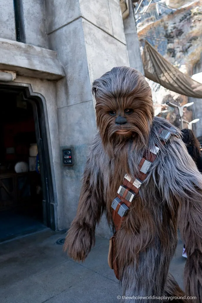 Star Wars Rise of the Resistance Rope Drop Disneyland California