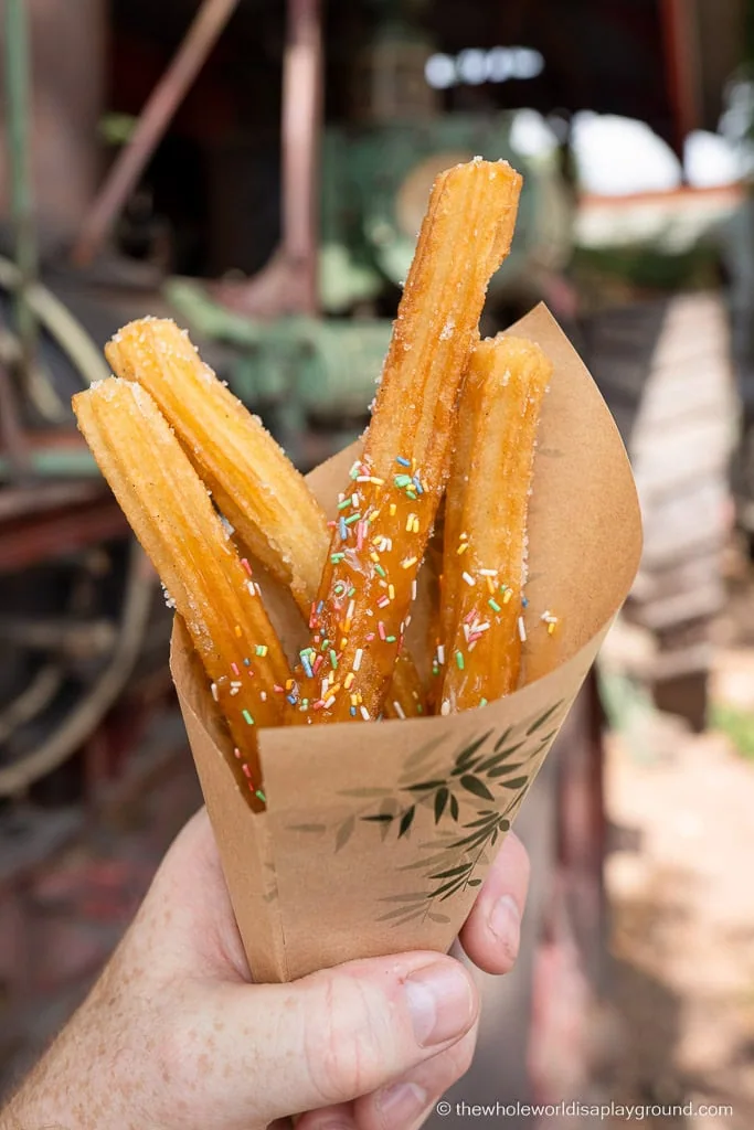 Disneyland Paris Best Snacks